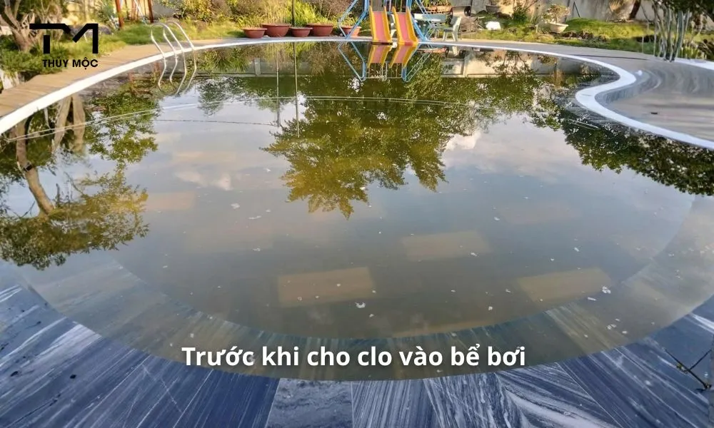 trước khi cho clo vào bể bơi